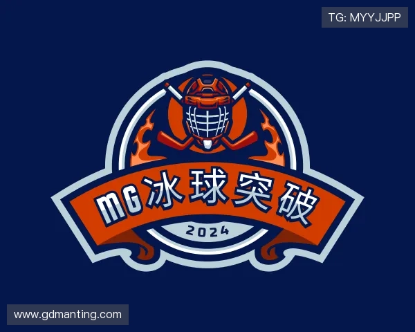 了解冰球突破官方网址